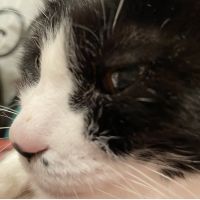 さんぼまるさん