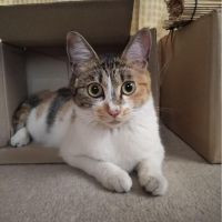 ブーのママ 会員画像