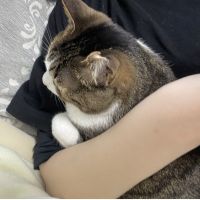ねむゆさん