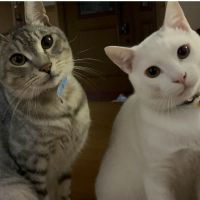 あいる28さん