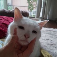 なめこえのきさん