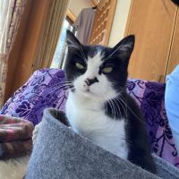 はなちゃん0505 会員画像