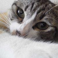 oモカo 会員画像