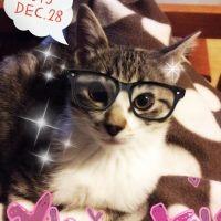 ねふぃ 会員画像