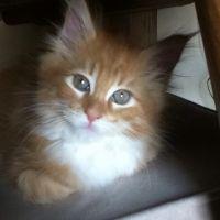 スタジオMAX 会員画像