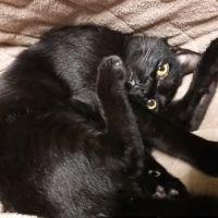 うすい 会員画像