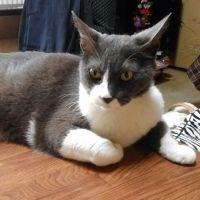 あめすぴ 会員画像