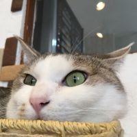 幽李 会員画像