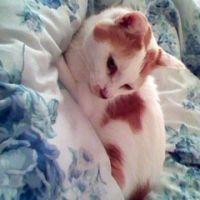 会員画像