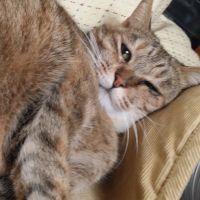 会員画像
