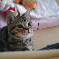 まっすぅぅさん