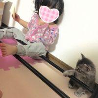 てちてちてち 会員画像