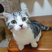 会員画像