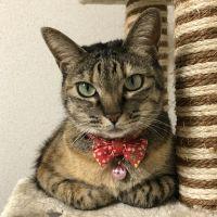 ナホロン 会員画像