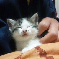 けんたろーさん