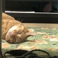 きむにぃ 会員画像