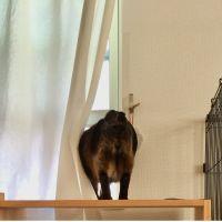会員画像