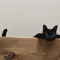 会員画像