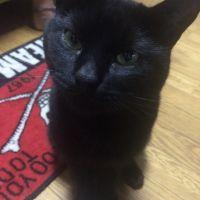 ろべるた 会員画像