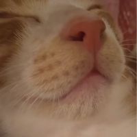 なつき228 会員画像