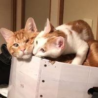 なつオ 会員画像