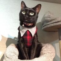 会員画像