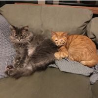 ayu1127 会員画像