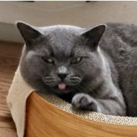 会員画像
