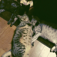 ヤマシタさん 会員画像