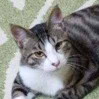メルくん 会員画像