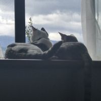 会員画像