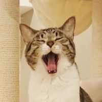 yuzumamさん