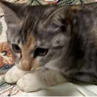 みんす 会員画像