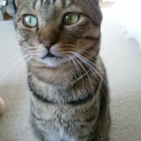 ロクくんさん