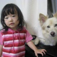 ましゅまる 会員画像