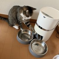 hasekosamba 会員画像