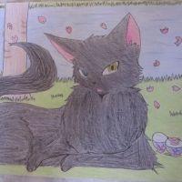 リーフプール 会員画像