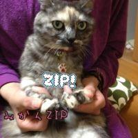 のりんご 会員画像