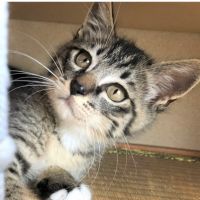 にしたみ 会員画像