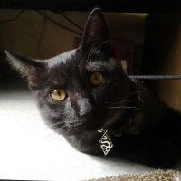 ここから未来へ 会員画像