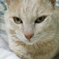 エイタさん