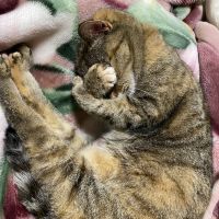 ジュンサン 会員画像