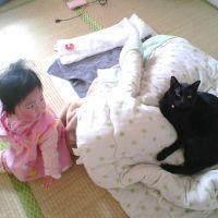 副長 会員画像