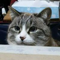 会員画像
