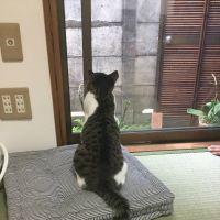 まめごろろ 会員画像