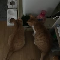由希絵 会員画像