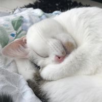 ひさっぺ 会員画像