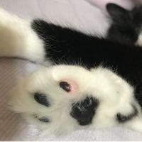 キー君まま 会員画像