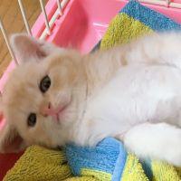 にこにこ2151 会員画像
