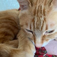 くらら55 会員画像